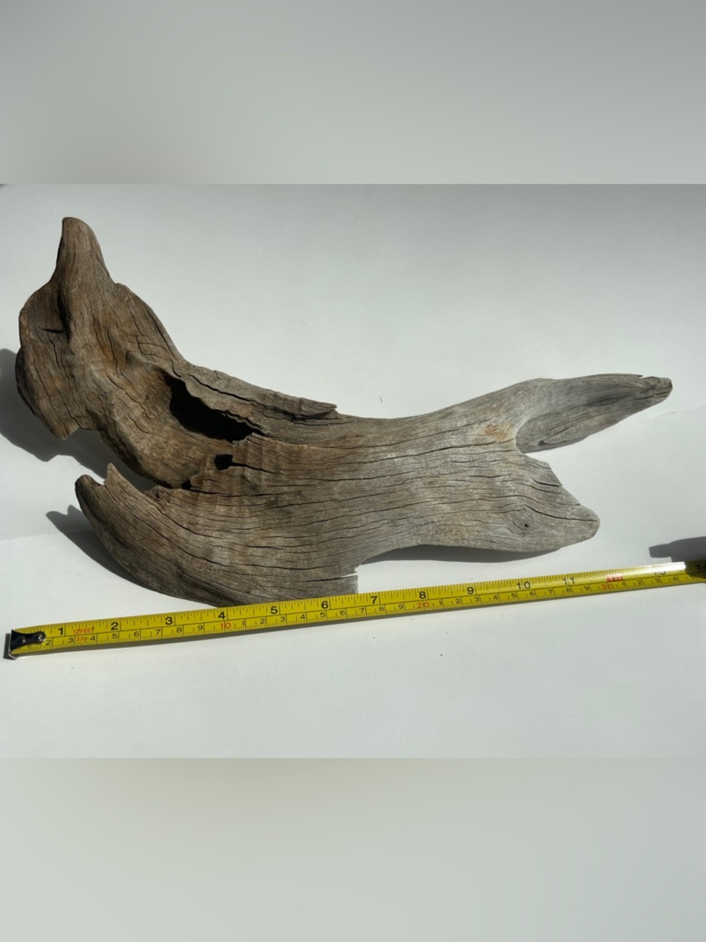 Natural Driftwood For Aquarium Succulent Floral Table Setting 14” Long, 8” Wide - Picture 5 of 5